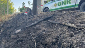 Arresto preventivo per sospetto di aver appiccato il fuoco in una zona forestale a Castro Daire.