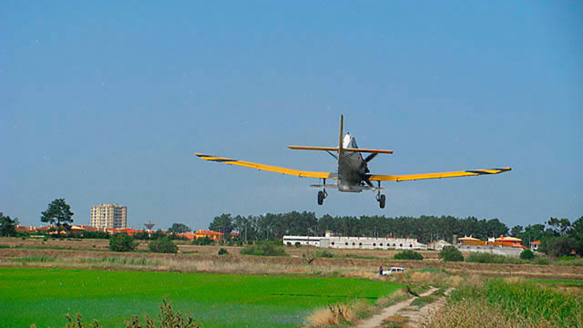 Caduta di un piccolo aereo provoca un ferito grave a Benavente.