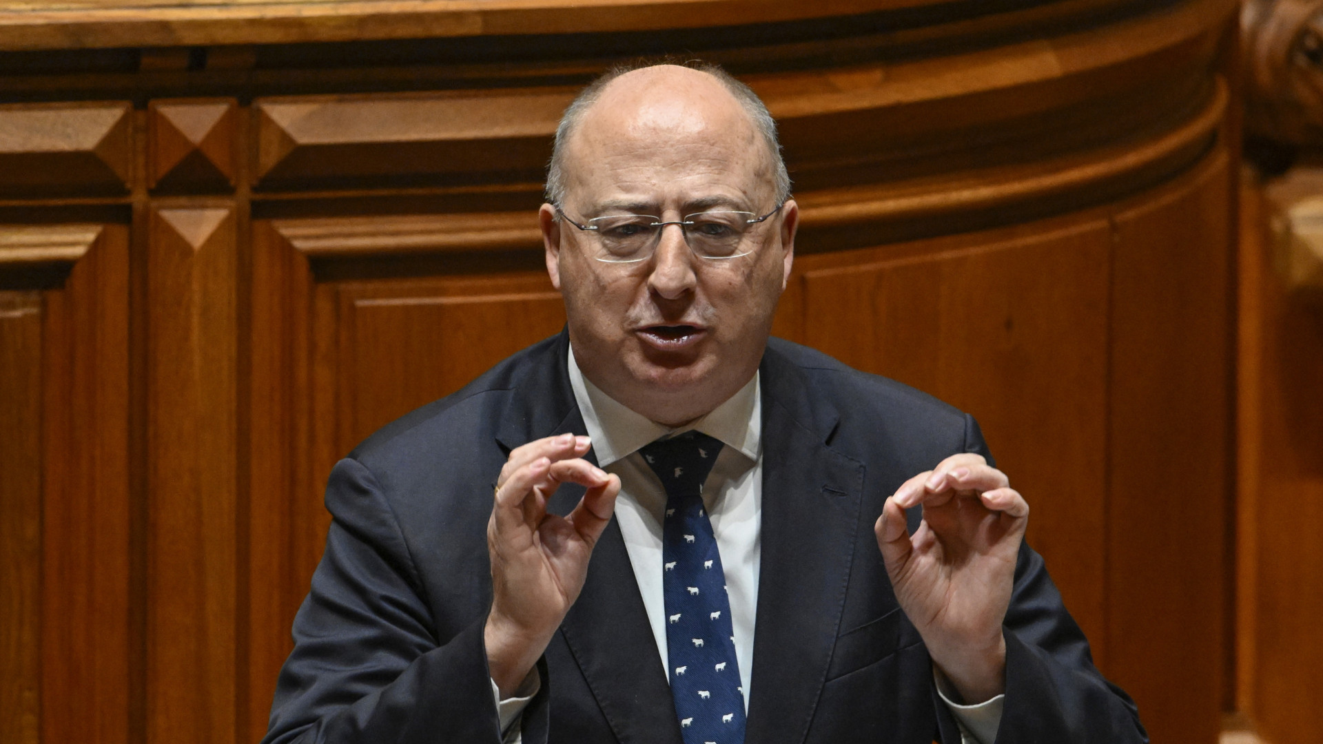 Deforestazione. Il Portogallo sottoscrive una lettera a Bruxelles per chiedere semplificazione.