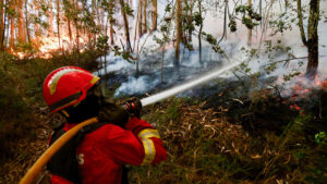 GNR detiene uomo per incendio boschivo a Fornos de Algodres