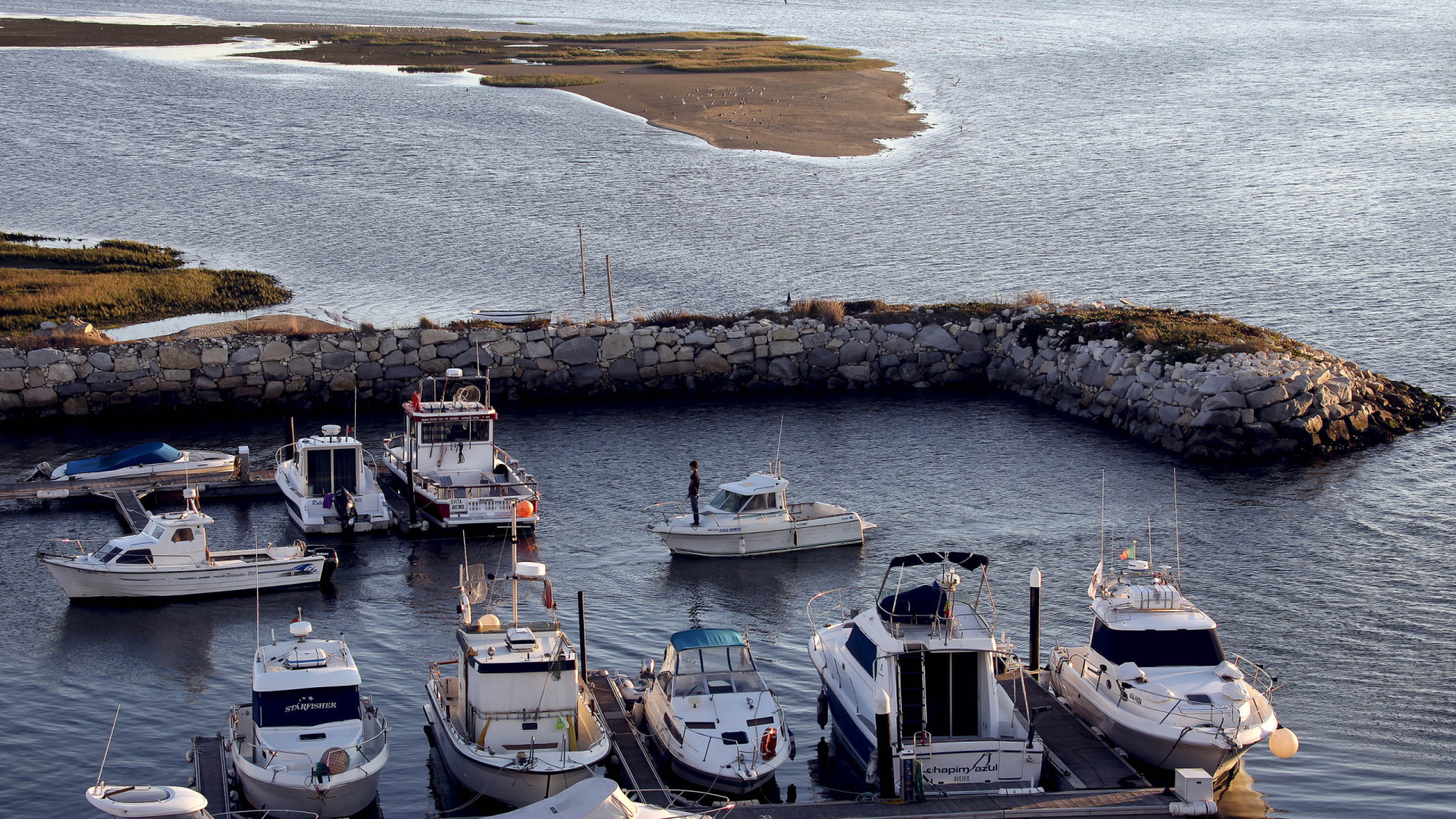 I pescatori vogliono più controlli sulla raccolta dei bivalvi ad Aveiro.