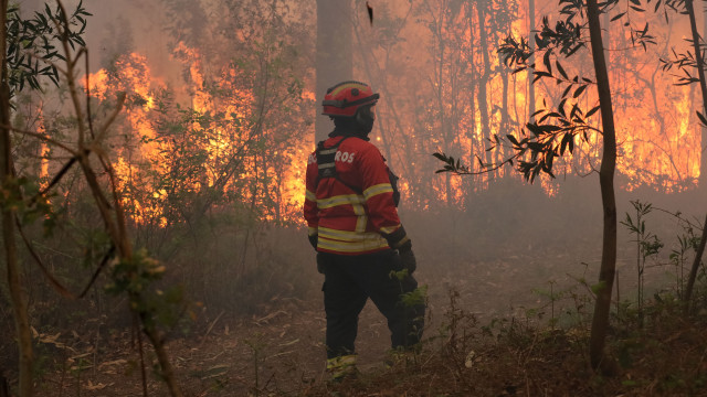 Incêndios? Área ardida (este ano) quase que triplicou face a 2024
