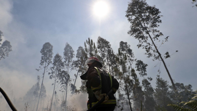 Incendio a Idanha-a-Nova mobilita 8 mezzi aerei e 150 operatori.