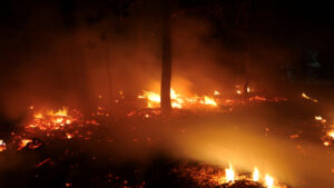Incendio a Montemor-o-Novo considerato sotto controllo.