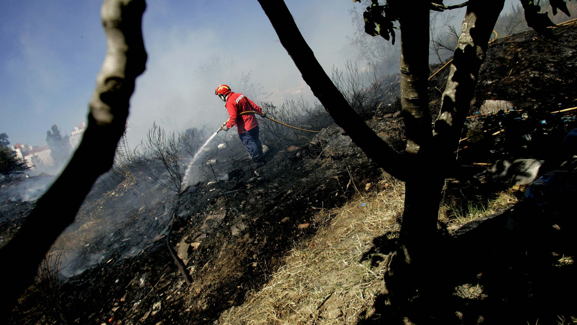 Incendio ad Alandroal costringe all'evacuazione dei residenti. "Si è avvicinato alle case"
