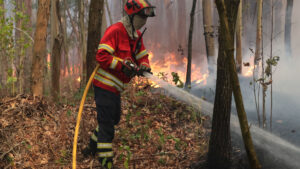 Incêndio dominato nel comune di Alandroal.