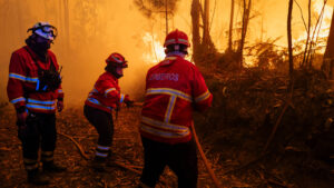 Incendio in vegetazione a Idanha-a-Nova in conclusione