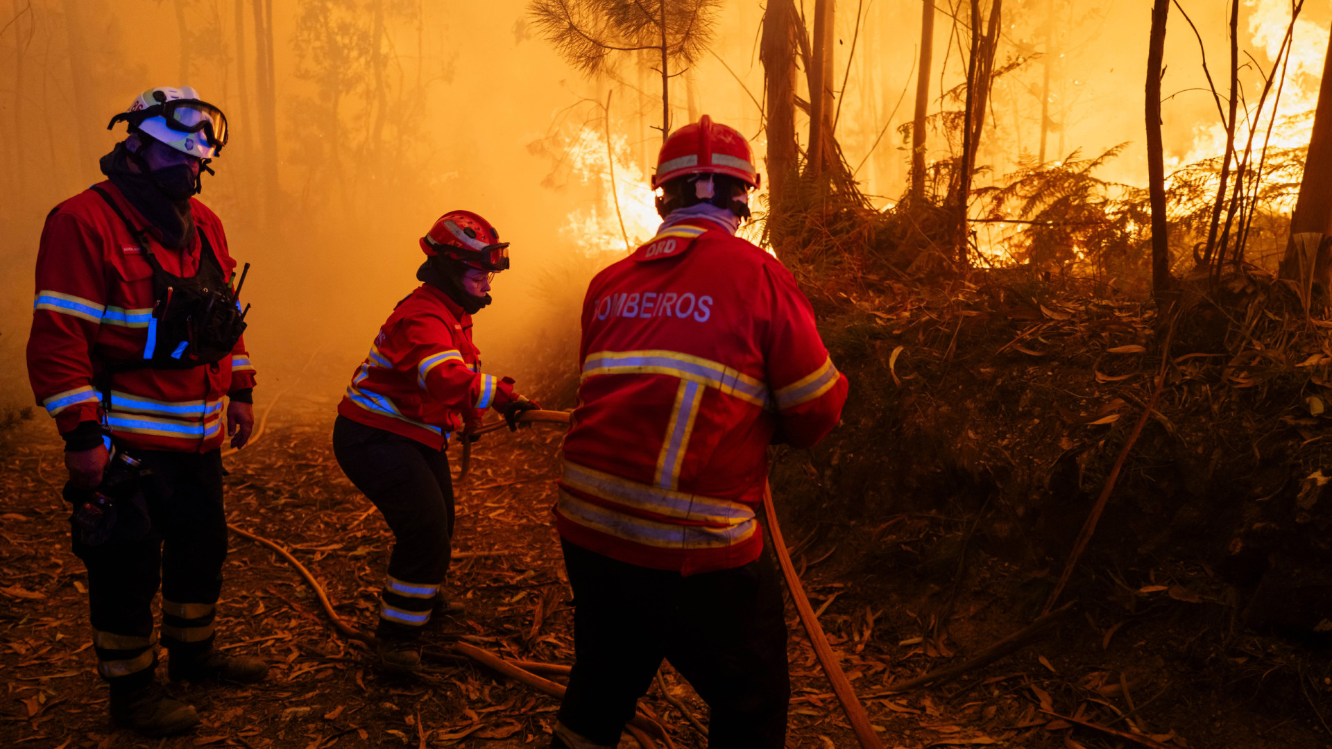 Incendio in vegetazione a Idanha-a-Nova in conclusione