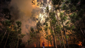 Oltre 100 comuni di 12 distretti a rischio massimo di incendio.