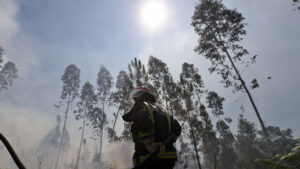Oltre 100 operatori combattono l'incendio a Ponte de Lima.