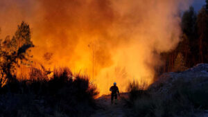 Oltre 40 comuni di nove distretti in pericolo massimo di incendio