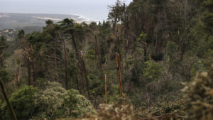 Parco Naturale di Sintra-Cascais chiuso la domenica