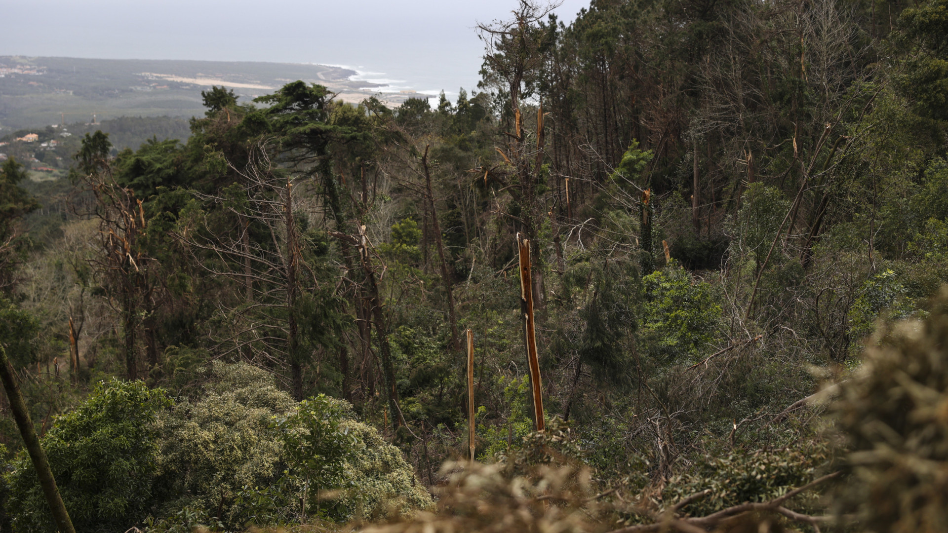 Parco Naturale di Sintra-Cascais chiuso la domenica