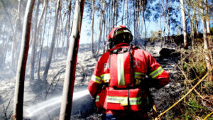 Più di 20 comuni di quattro distretti in pericolo massimo di incendio.