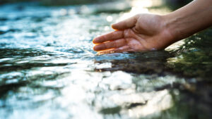 Scarsa qualità dell'acqua nel fiume Onda associata a scarichi di Lactogal.