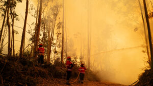 Sessantenne arrestato per sospetto di aver appiccato un incendio a Baião.