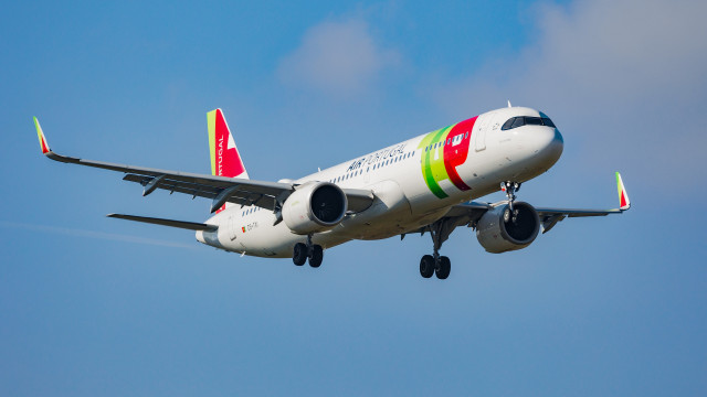 TAP accusata di negligenza dopo che una cagna scappa all'aeroporto di San Paolo